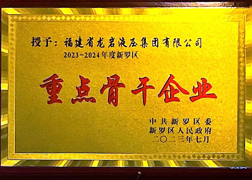 重點骨干企業(yè)